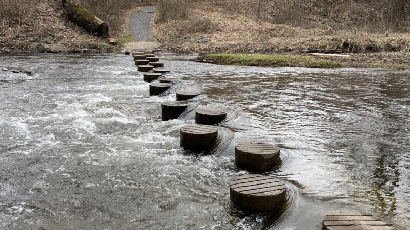 Cherry Creek Crossing Loop Trail - Delaware Water Gap, PA