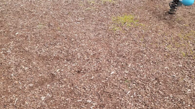 State Street Park - Delmar, MD