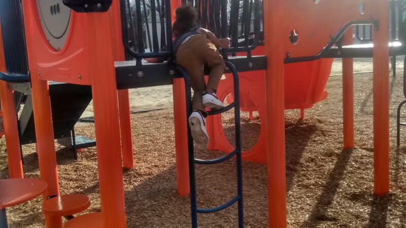 State Street Park - Delmar, MD