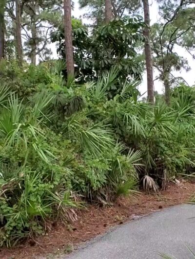 Barwick Park - Delray Beach, FL