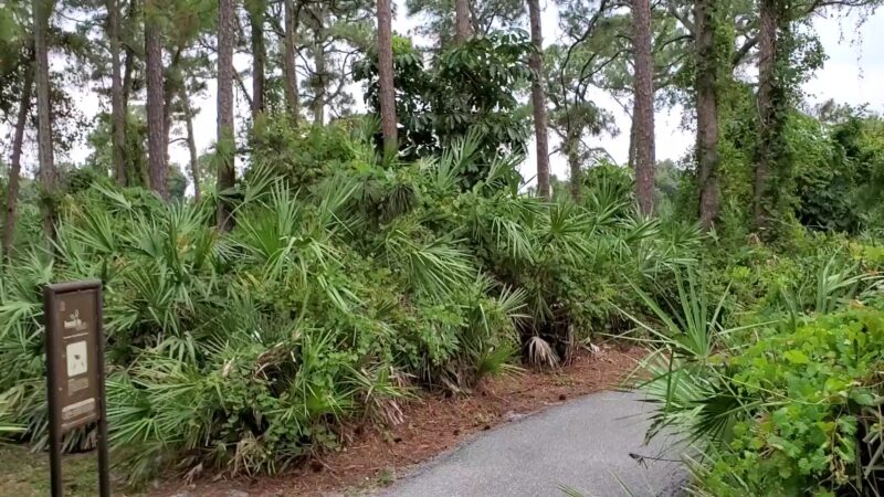 Barwick Park - Delray Beach, FL