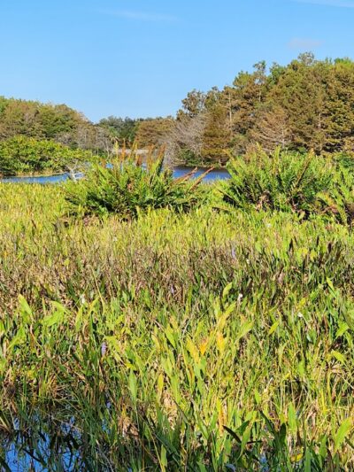 City of Delray Beach Orchard View Park - Delray Beach, FL