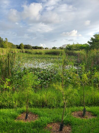 Eagle Park - Delray Beach, FL