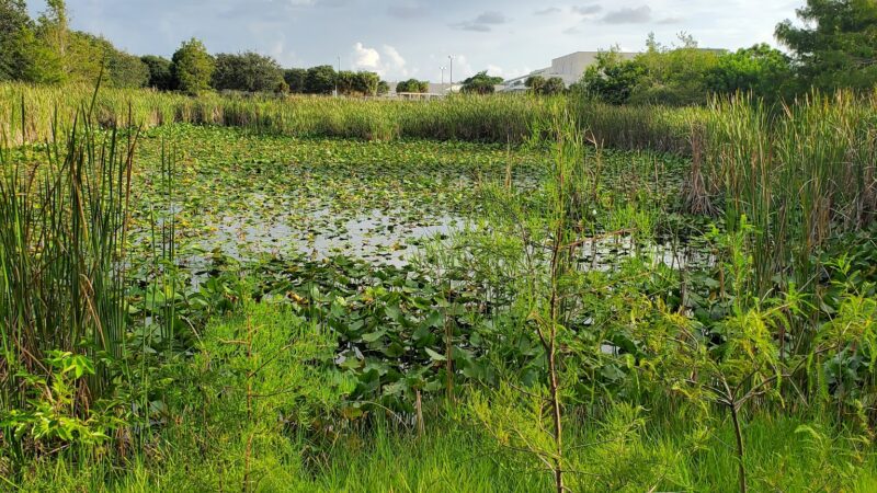 Eagle Park - Delray Beach, FL