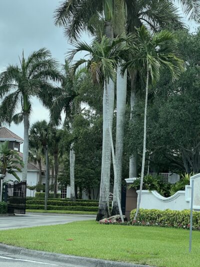 Fountains at Delray Beach - Delray Beach, FL