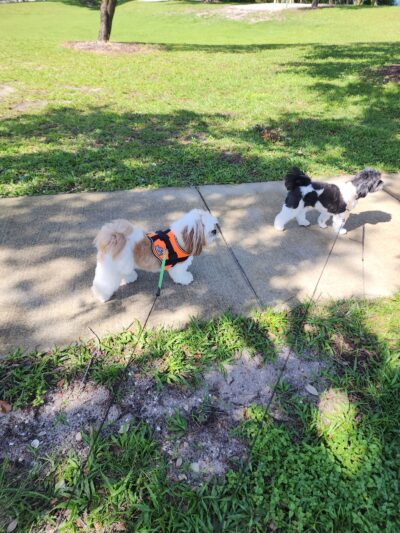 Lake Ida Dog Park - Delray Beach, FL