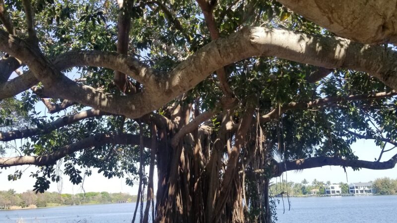Lake Ida East Park - Delray Beach, FL