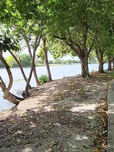 Lake Ida East Park - Delray Beach, FL