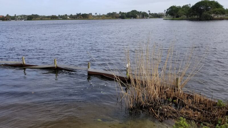 Lake Ida East Park - Delray Beach, FL