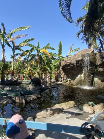 The Girls Strawberry U-Pick - Delray Beach, FL