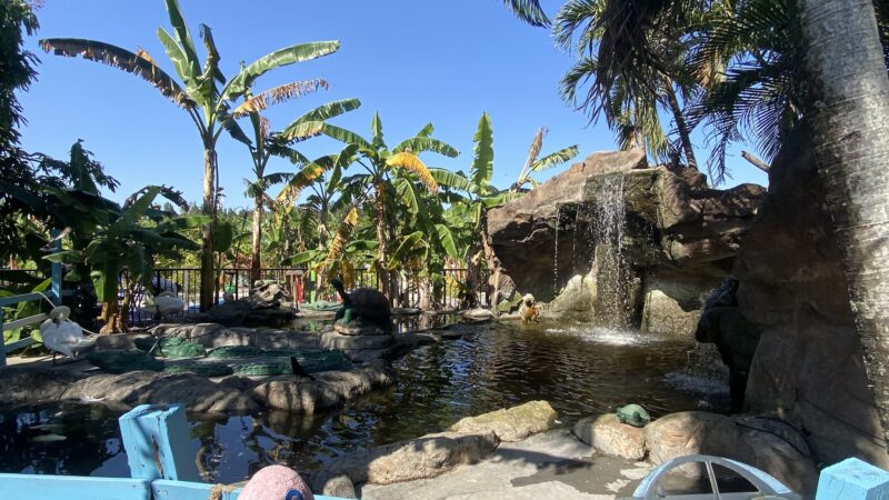 The Girls Strawberry U-Pick - Delray Beach, FL