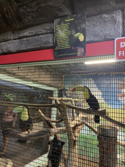 The Girls Strawberry U-Pick - Delray Beach, FL