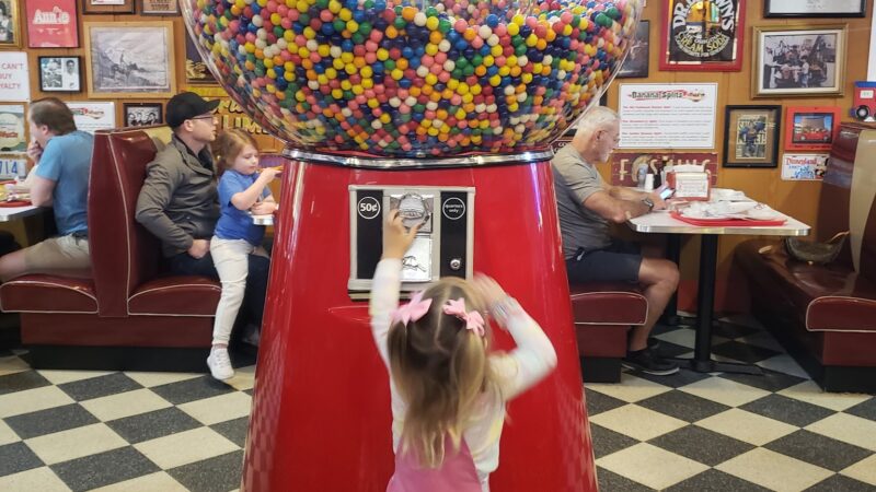 The Girls Strawberry U-Pick - Delray Beach, FL