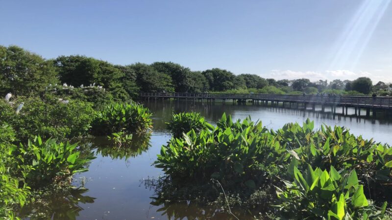 Wakodahatchee Wetlands - Delray Beach, FL
