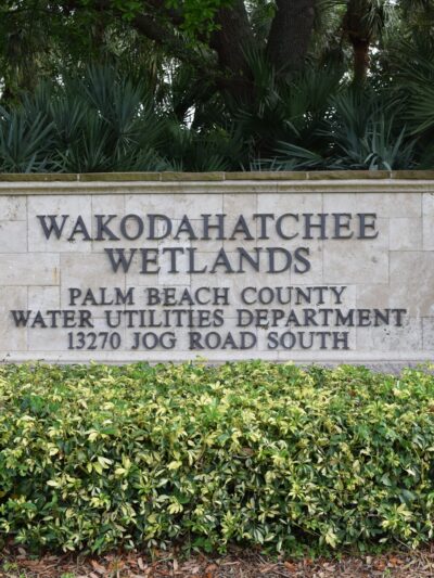 Wakodahatchee Wetlands - Delray Beach, FL