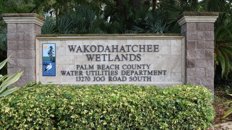 Wakodahatchee Wetlands - Delray Beach, FL