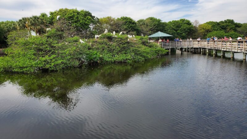 Wakodahatchee Wetlands - Delray Beach, FL