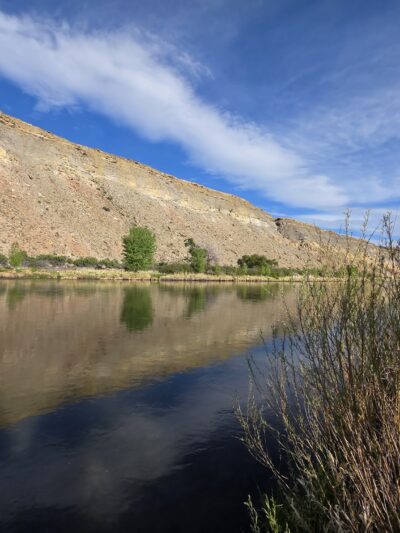 Cottonwood Grove Campground - Delta, CO