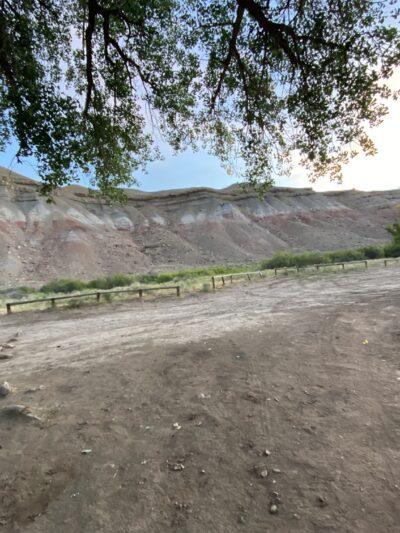 Cottonwood Grove Campground - Delta, CO