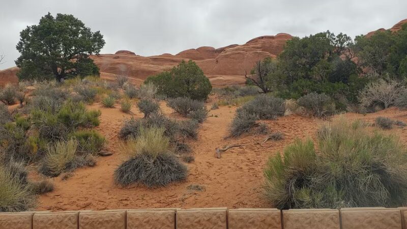 Neighborhood Park - Delta, UT