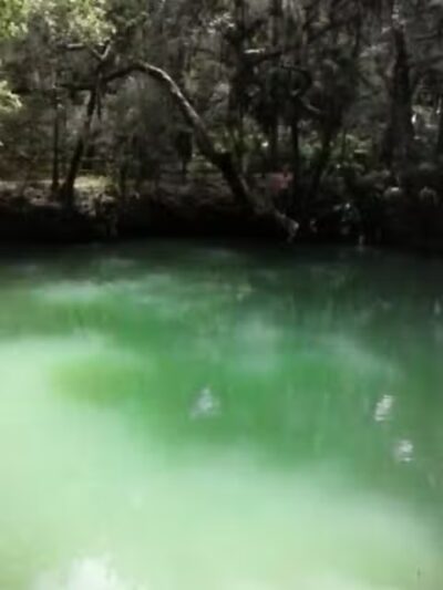 City of Deltona's Parks - Deltona, FL