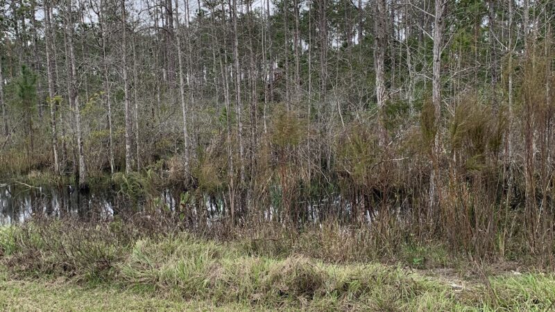 East Central Regional Rail Trail - Deltona, FL