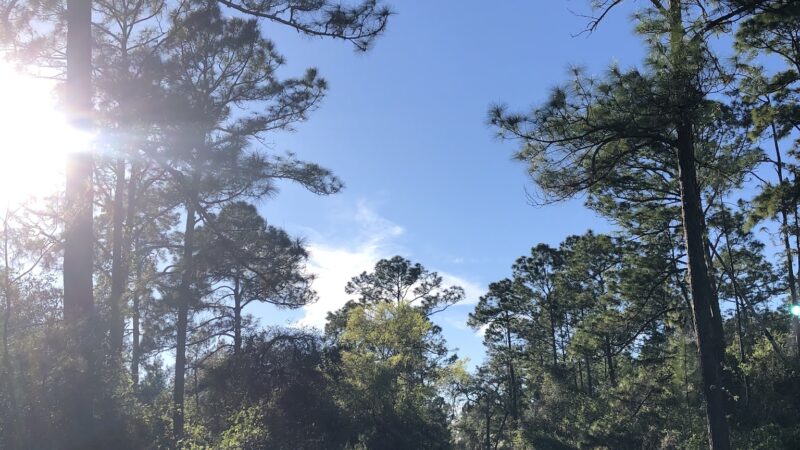 East Central Regional Rail Trail - Deltona, FL
