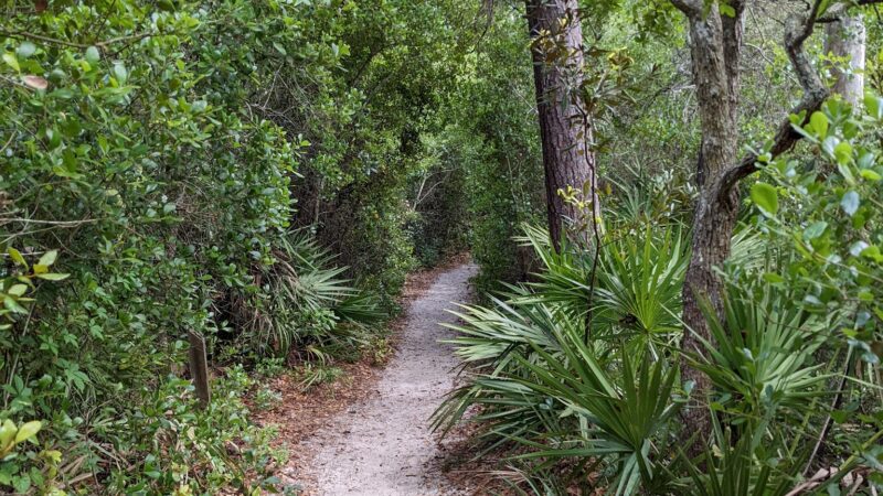 Lyonia Preserve Trail Head - Deltona, FL