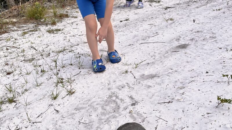 Lyonia Preserve Trail Head - Deltona, FL