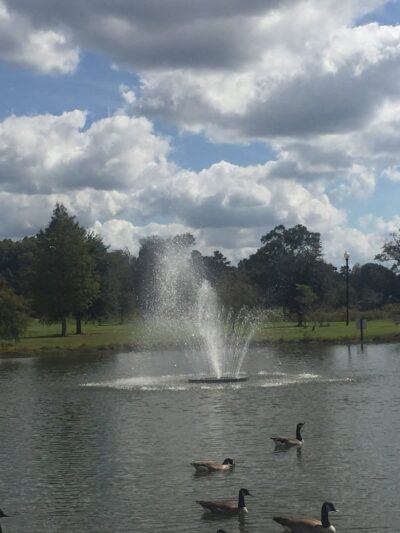 North Park - Denham Springs, LA