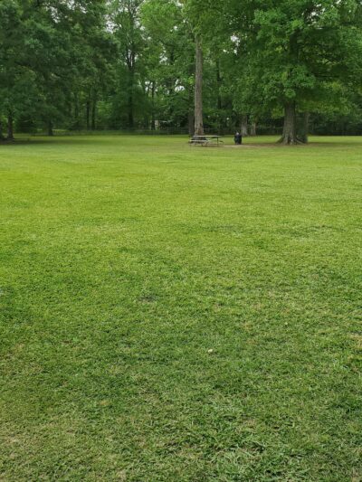 Parks Recreation District 3 ( South Park ) - Denham Springs, LA