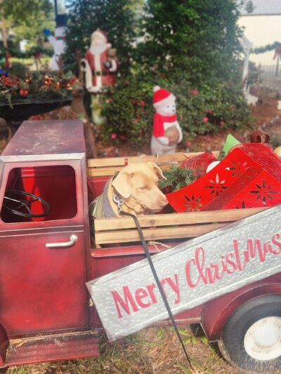 Sanctuary Park - Denham Springs, LA