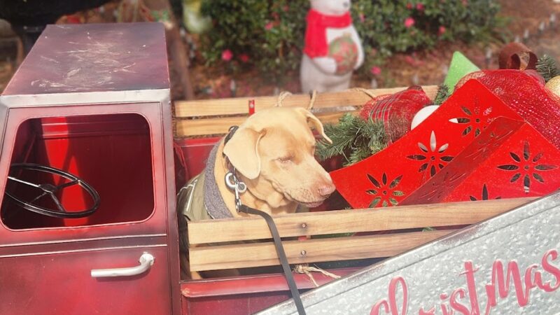 Sanctuary Park - Denham Springs, LA