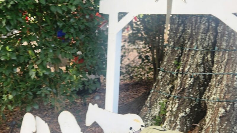 Sanctuary Park - Denham Springs, LA