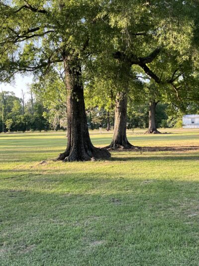 South Park - Denham Springs, LA