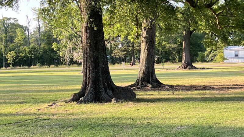 South Park - Denham Springs, LA