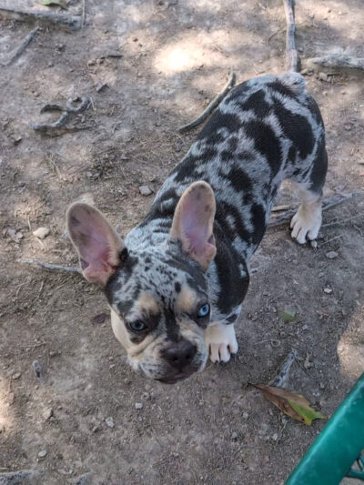 South Park - Denham Springs, LA