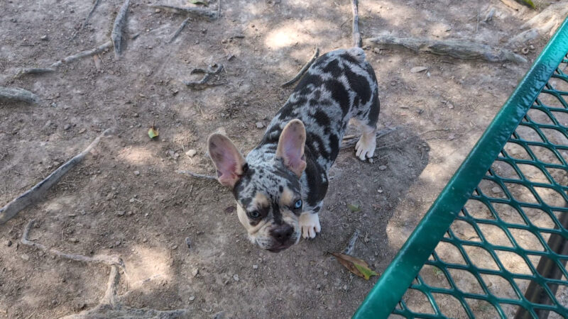 South Park - Denham Springs, LA