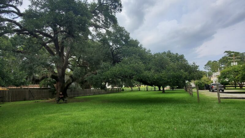 Spring Park - Denham Springs, LA