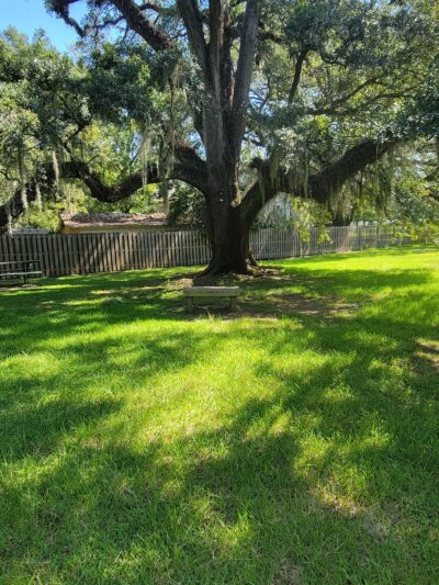 Spring Park - Denham Springs, LA