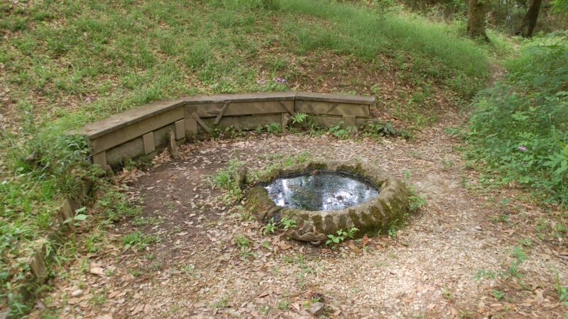 Spring Park - Denham Springs, LA