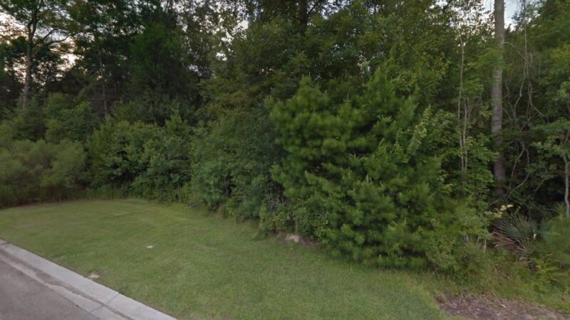 The Reserve at Juban Lakes - Denham Springs, LA