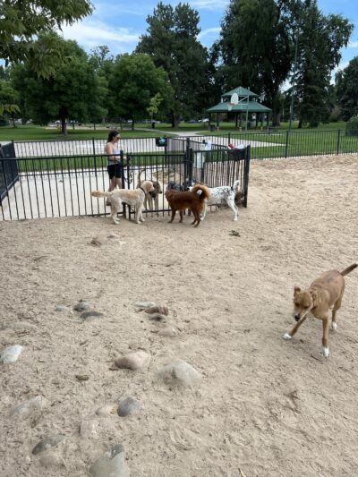Fuller Dog Park - Denver, CO
