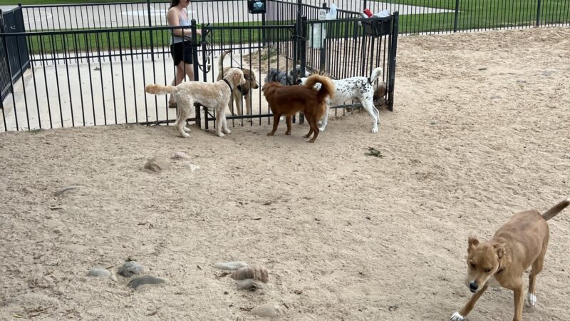 Fuller Dog Park - Denver, CO