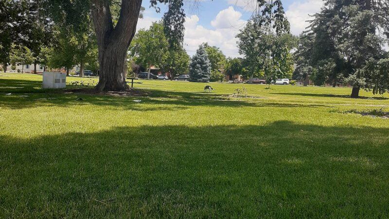 Fuller Dog Park - Denver, CO