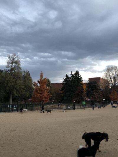 Fuller Dog Park - Denver, CO