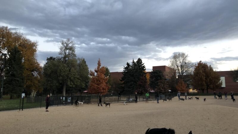 Fuller Dog Park - Denver, CO