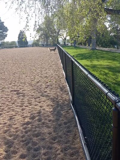 Barnum Dog Park - Denver, CO