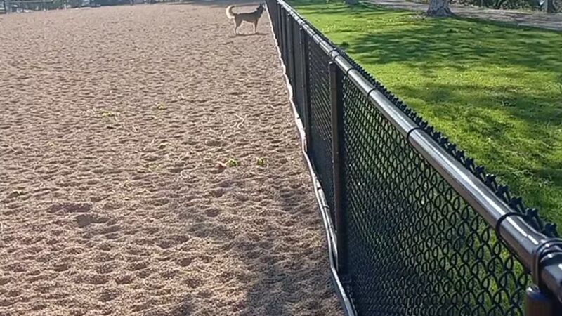 Barnum Dog Park - Denver, CO