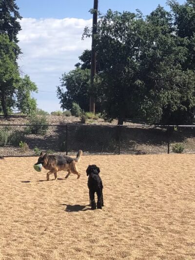 Barnum Dog Park - Denver, CO